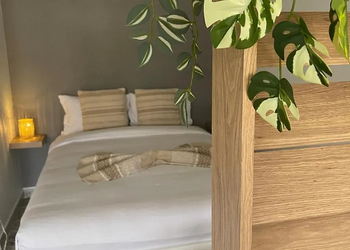 Apartment En Centre Le Cannet